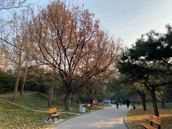 新年第一天，北京公园风景区游客超63.8万人次！这5家迎客超2万人次