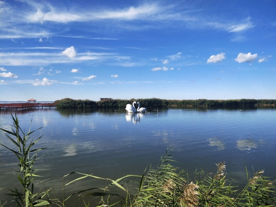 近年来，乌梁素海流域山水林田湖草生态保护修复试点工程成效显著，流域生态环境得到持续改善。（高晓龙摄）
