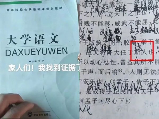 武汉大学出版社出版的《大学语文》教材。图片源自网络