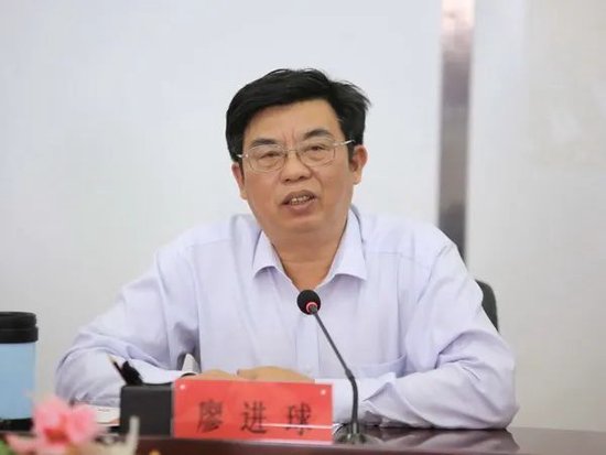 廖进球，严重违纪违法