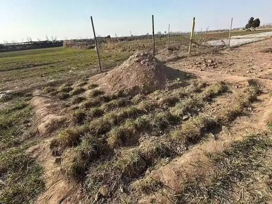 “三姐妹给父亲上坟被炸身亡案”家属发声：直播时两次遭网友死亡威胁，警方已立案侦查