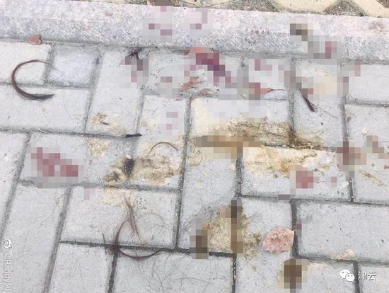  现场遗留的粪便血迹和剪碎的头发