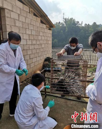 图为课题组正在工作中。 昆明理工大学供图