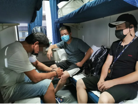 美国首次出现动物“中招” 老虎病毒检测呈阳性