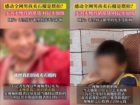 巴黎动物园私享指南：在狮吼与企鹅凝视中开派对