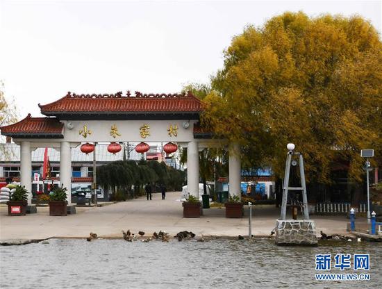 这是牡丹江边的"旅游村"牡丹江宁安市渤海镇小朱家村一景(10月23日摄)