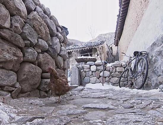 △駱駝灣村的小路多用石頭鋪砌而成,坑坑洼洼,凹凸不平。