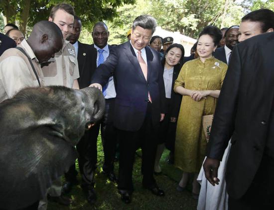 2015年12月2日，国家主席习近平在津巴布韦考察野生动物救助基地。新华社记者兰红光摄