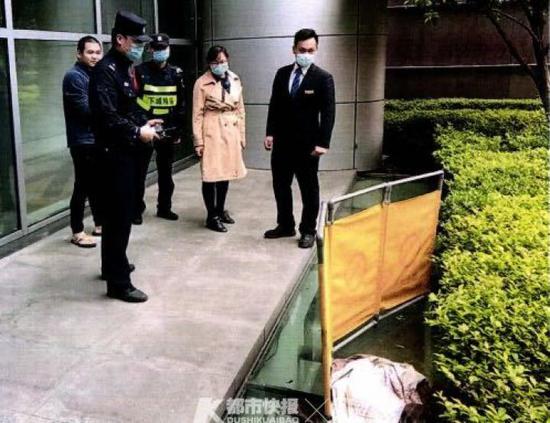 从天而降3米蟒蛇:饲养者涉非法收购濒危野生动物