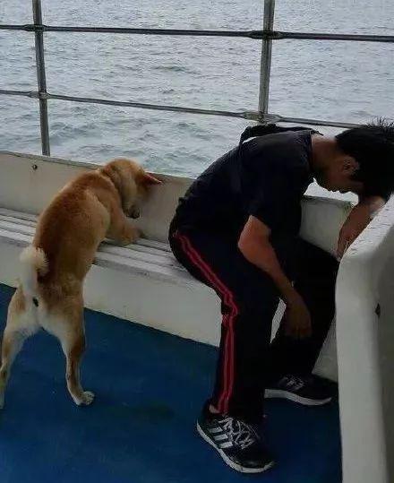 2018最喜感照片 看到第一张领导说要开除我(图)