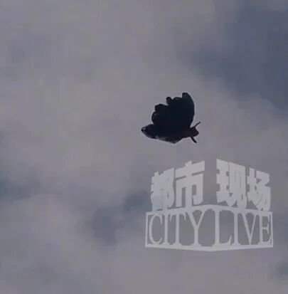 禁飞区出现蝴蝶状“不明飞行物”，目击者称距离地面50多米，内蒙古包头市国动办：不清楚情况，暂不作处理