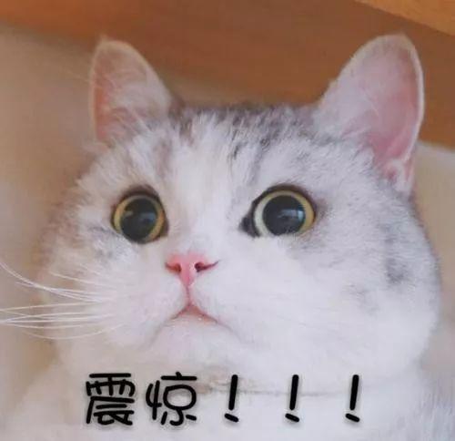 吹捧导师和师娘的“神论文”上核心期刊 网友炸