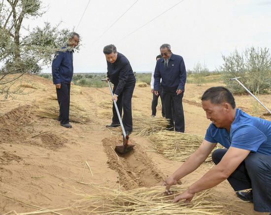 8月21日上午，习近平在武威市古浪县八步沙林场实地了解“草方格压沙”作业。