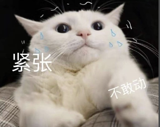今年丢准考证的高考生已出现……