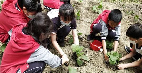 封面新闻真人版“开心农场”来啦！成都这所学校喊你上“农庄课程”