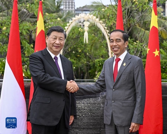 当地时间11月16日晚，国家主席习近平在巴厘岛同印度尼西亚总统佐科举行会谈。新华社记者 李学仁 摄