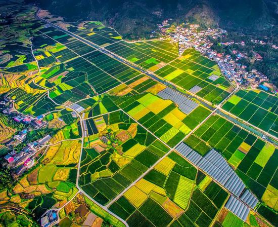 实现了7个100% 7月25日,闽西红土地上的长汀县古城镇丁黄村丁屋岭游人