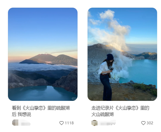 担心幼鸽家飞丢失，有几个小技巧可以减少幼鸽家飞丢失