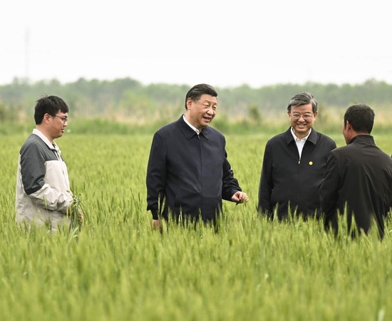 5月11日上午，习近平在沧州市黄骅市旧城镇仙庄片区旱碱地麦田考察时，同种植户、农技专家亲切交流。