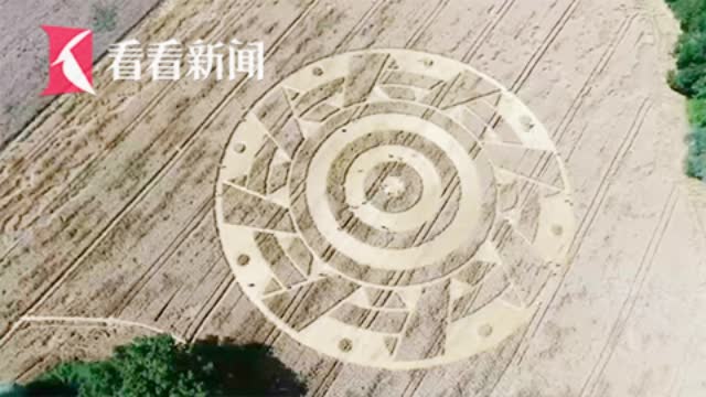 麦田怪圈的秘密 原来早就解开了 麦田 新浪科技 新浪网 麦田怪圈的秘密 原来早就解开了 麦田 新浪科技 新浪网