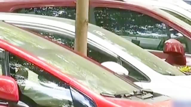 河南2岁男童被遗忘车内9小时不幸身亡涉事看护中心负责人被刑拘 视频新闻