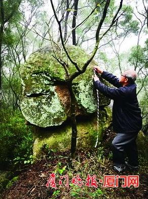 同安大轮山上的猴石。