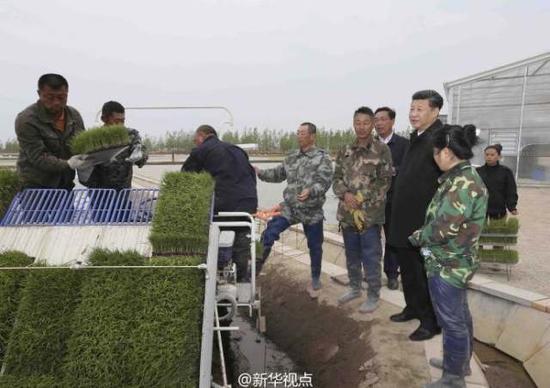 习近平登上黑瞎子岛：保护生态，留一张白纸