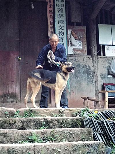 中国佛雕之都雇狼犬护宝：每月150元伙食费