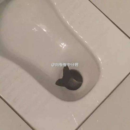  活下来的永远在骚动，被偏爱的有恃无恐。 