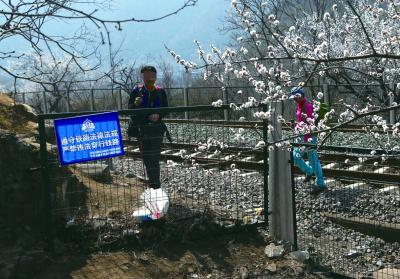 居庸关花海:拍居庸关花海必经路被封 当地人收钱带游客上山 游客翻越障碍到铁路里拍摄