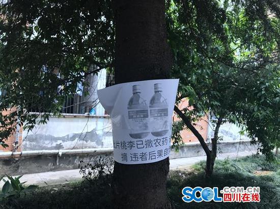 高校为防学生摘果子挂搞笑标语:谁摘果子谁挂科