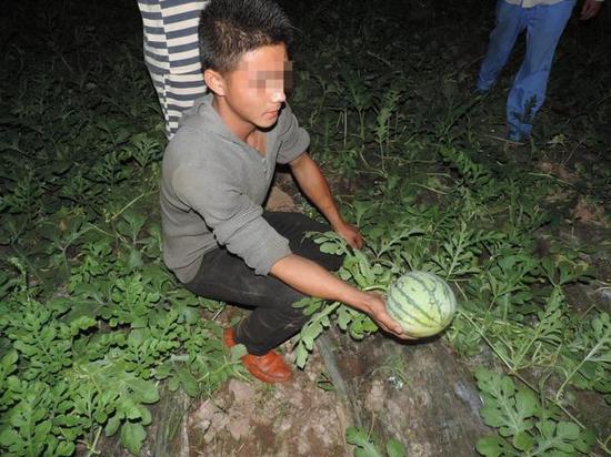 女子为俩西瓜狂追4公里 偷瓜男子吓傻被迫报警