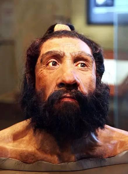▍尼安德特人,生活于约    万到   万年前的古代欧亚大陆,是与现代人