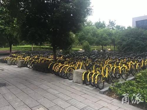 宁波单车网:宁波今起暂停投放共享单车 当地总量已超20万辆 庆丰桥下停放了大量共享单车。本文图片均来自甬派客户端