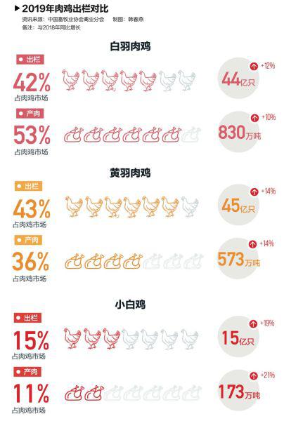 2020年各国鸡产量排名_美国农业部:2020前10个月中国鸡肉产量将达1580万吨