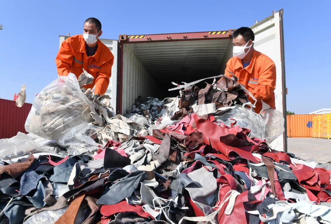 ▲2020年12月21日，工人在厦门海关的海沧查验场清理查获的进口牛皮革洋垃圾。（新华社）