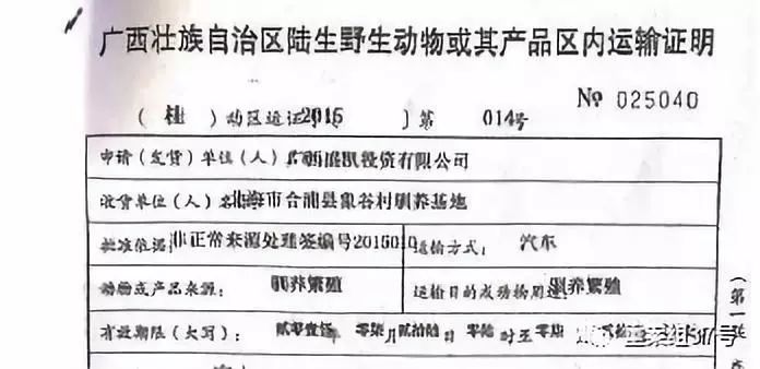 广西盛凯投资有限公司取得的野生动物运输许可证，用于向基地运送穿山甲。    新京报记者 王飞翔 摄