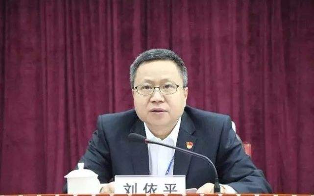 商务部西亚非洲司司长江伟挂职担任武汉市副市长