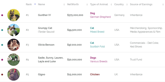  宠物富豪榜前五名