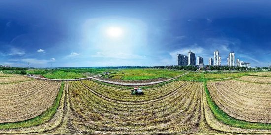 下乡调研，“发现乡镇干部都在种地”