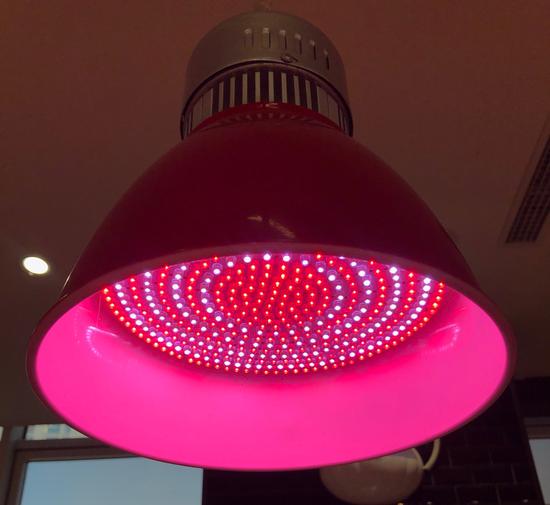  肉类柜台常用的生鲜灯