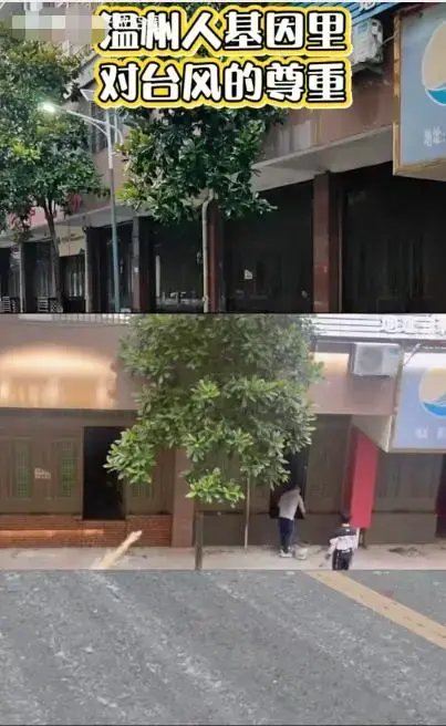 温州老板硬核防台风：沿街铺面砌起一面小墙，还有商户提前拆除招牌