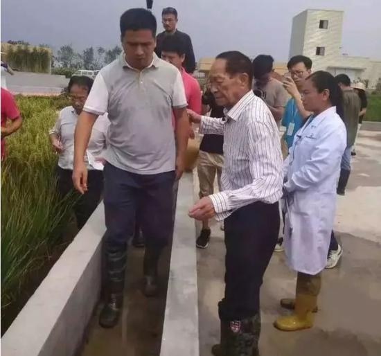 90后打老人:90后觉得自己老了?有些90岁老人却还在996