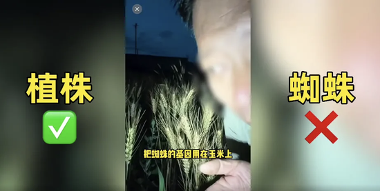马上评｜农业网红诋毁袁隆平成果，着实令人齿冷