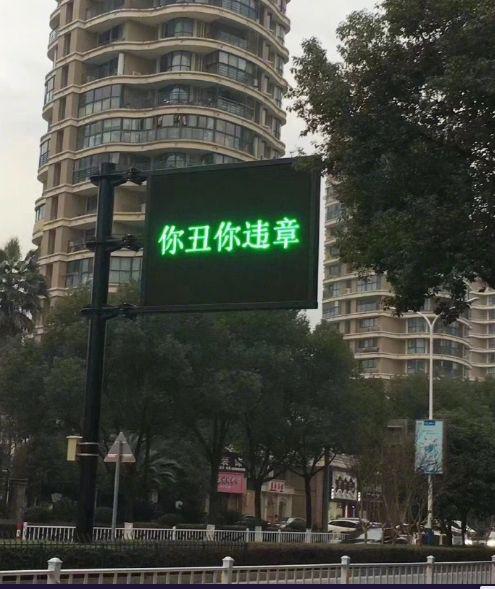 2018最喜感照片 看到第一张领导说要开除我(图)