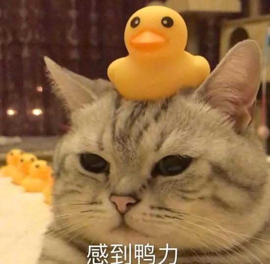 台湾旅行:台湾旅游业“变天”后 从业人员讲了这样几个故事