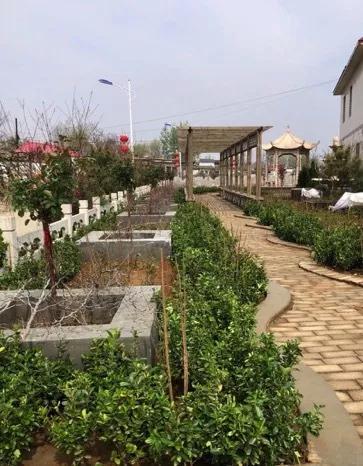怀常峪村村口新铺设的步行景观道。摄影/李行健