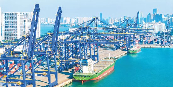 从一颗椰子、一仓大豆到一单牛肉，听商家讲述海南封关利好