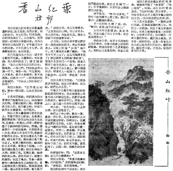 香山观叶可追溯至金代 杨朔这篇文章让它声名鹊起 1956年秋,作家杨朔在《北京日报》上发表《香山红叶》一文
