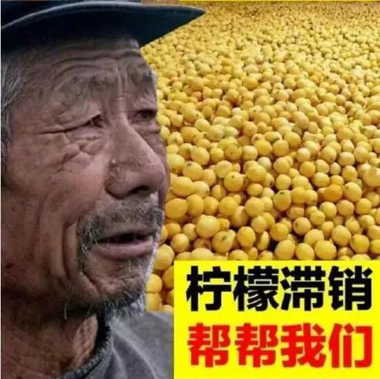 这位大爷为何卖啥啥滞销背后真相令人很愤怒
